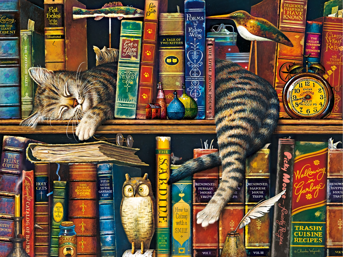 O Gato Frederick the Literate – O Puzzle