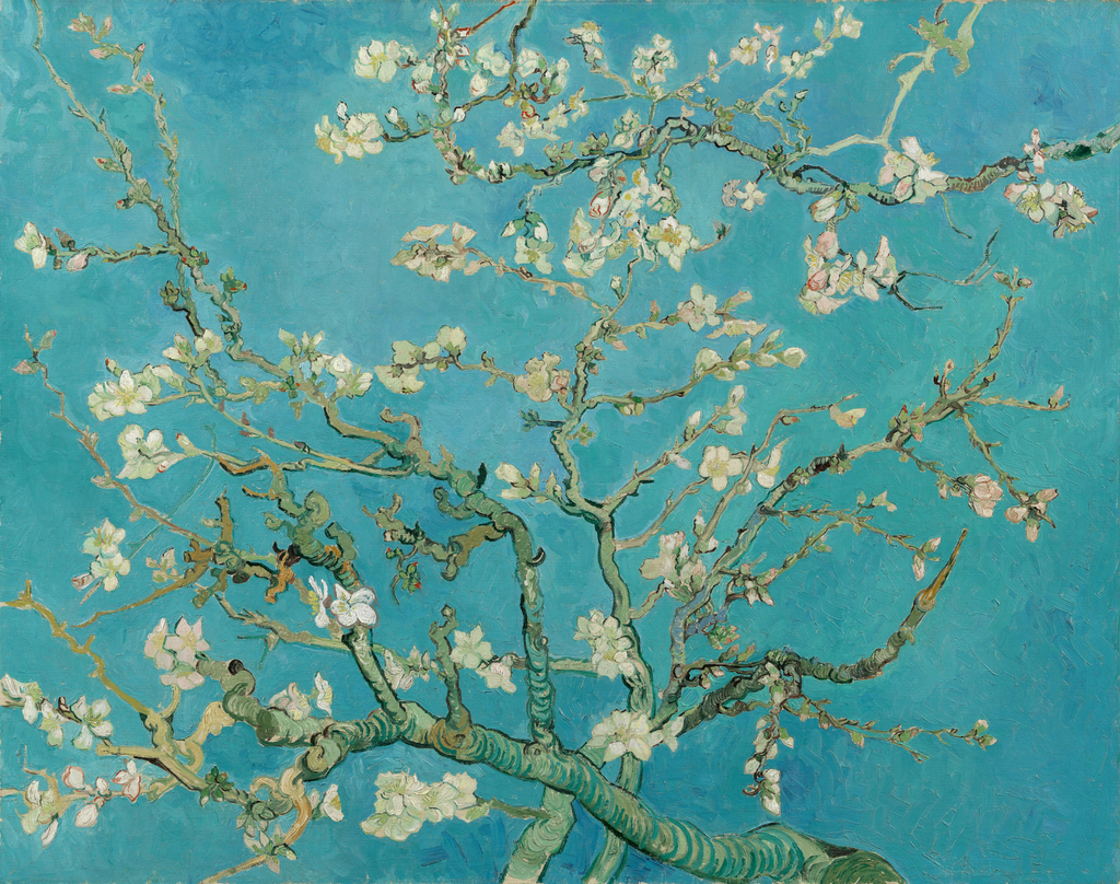 Amendoeira Em Flor