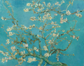 Amendoeira Em Flor
