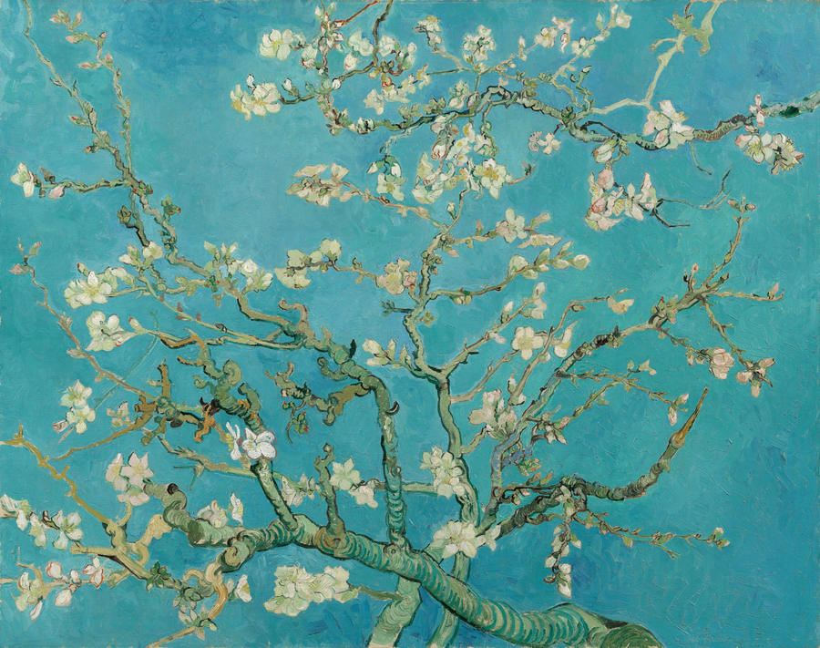 Amendoeira Em Flor