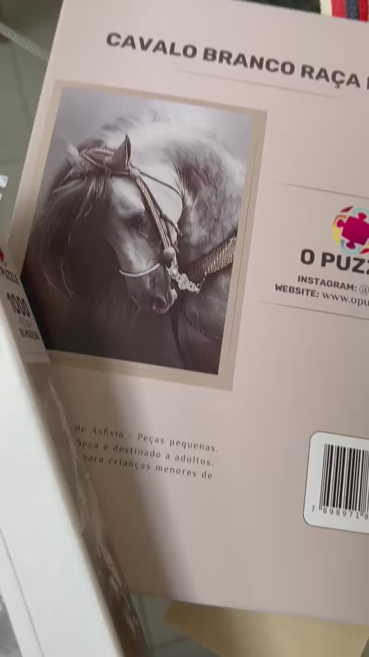 Cavalo Branco Raça Pura