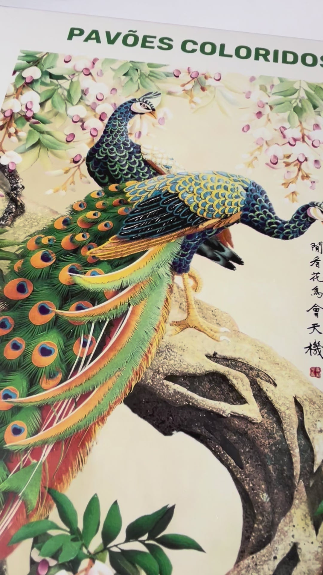 Pavões Coloridos